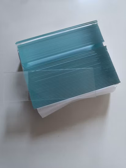 Histología de microscopio y portaobjetos de microscopio 7101 de alta calidad preparados con embriones